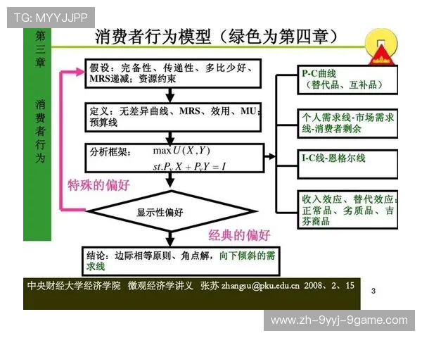 羽毛球原料价格分析及影响因素探讨如何影响市场与消费者行为 羽毛球原料价格分析及影响因素探讨如何影响市场与消费者行为