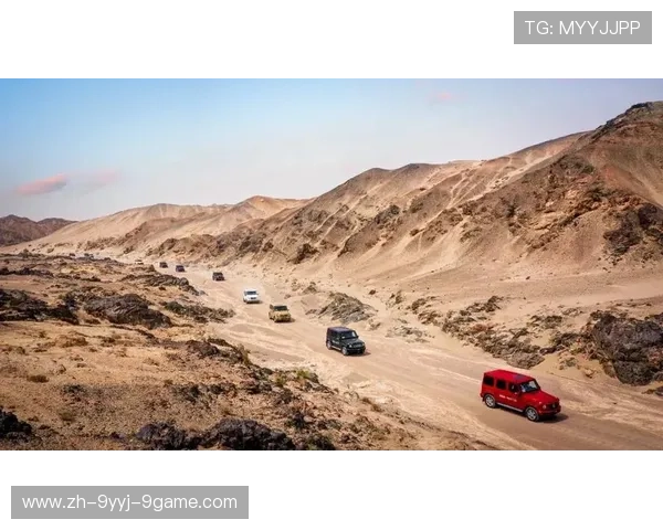 黑白王朝新纪元探索:从古老传承到未来文明的崭新篇章 黑白王朝新纪元探索:从古老传承到未来文明的崭新篇章