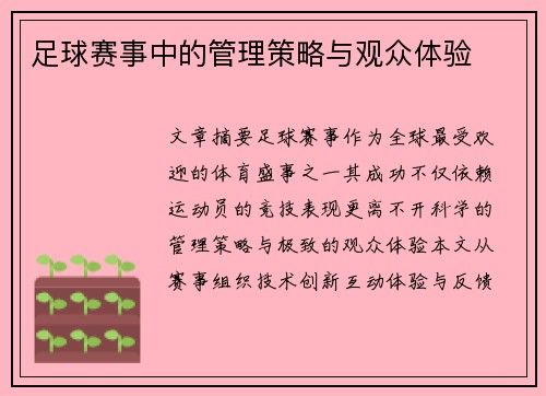 足球赛事中的管理策略与观众体验